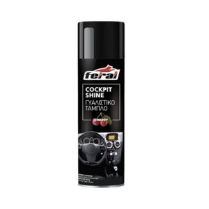 Auto Gs Σπρέι Γυαλίσματος για Ταμπλό Αυτοκινήτου με Άρωμα Κεράσι 500mlΚωδικός: 18553